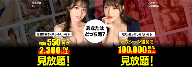 FANZAプレミアム紹介バナー